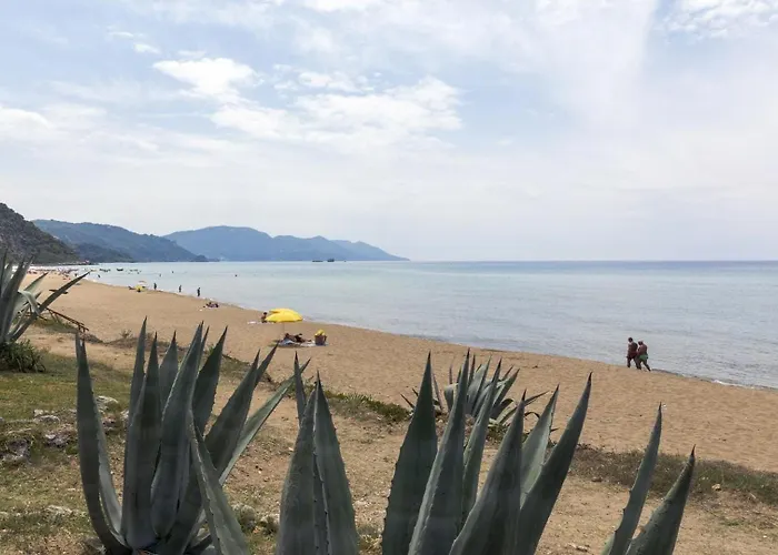 And Sea 펠레카스